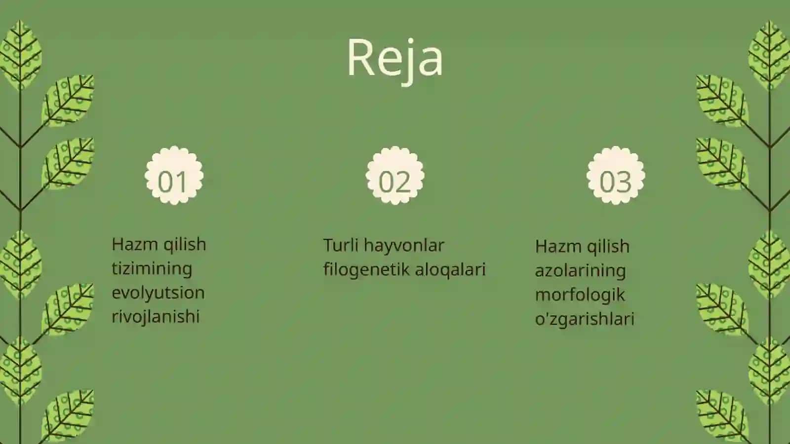 hazm qilish azolarining filogenizi 2