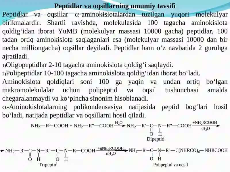Oqsillar va peptidlar 2