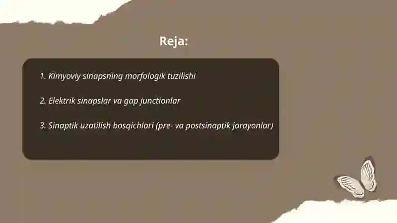 Kimyoviy va elektrik sinapslar 2