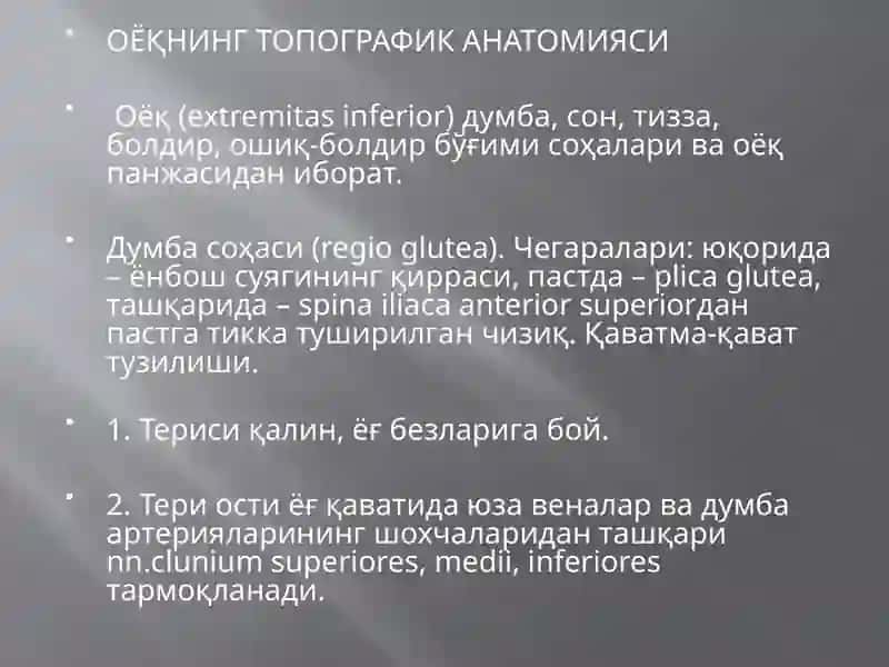 OYOQNING KLINIK ANATOMIYASI TOPOGRAFIK ANATOMIYASI 2