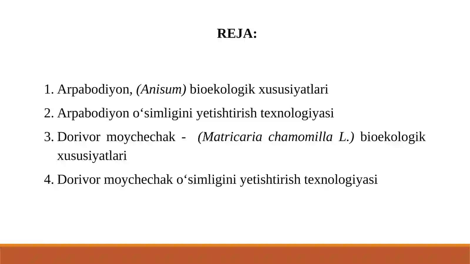 Dorivor moychechak-(Matricaria chamomilla L.)bioekologik xususiyatlari 2