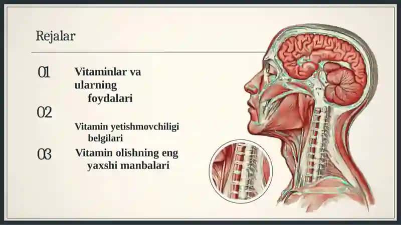 Vitaminlar 2