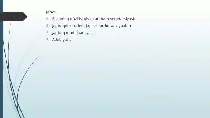 Japıraq marfalogiyasi tuzulishi 2