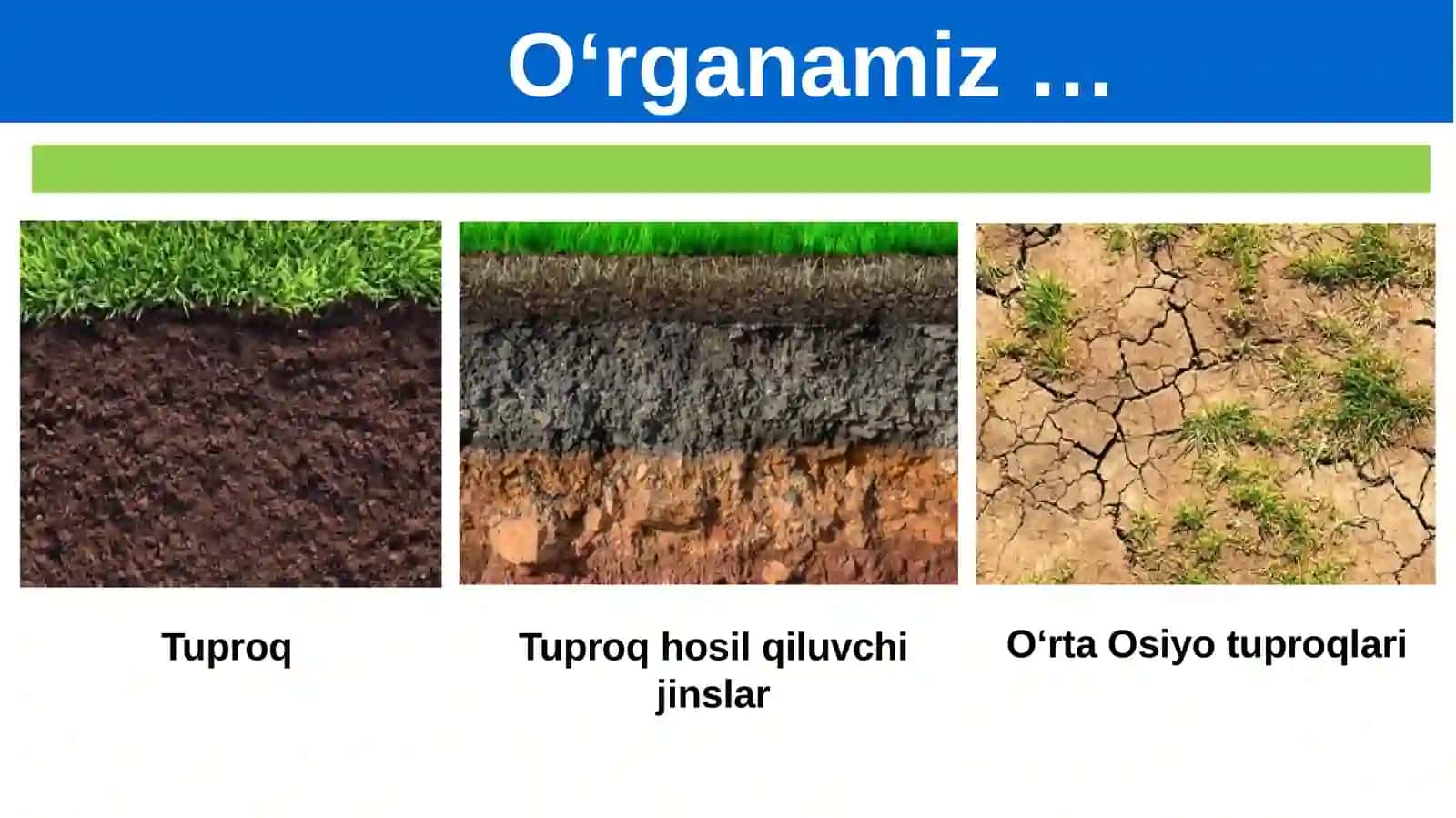 O‘rta Osiyo tuproqlari 2