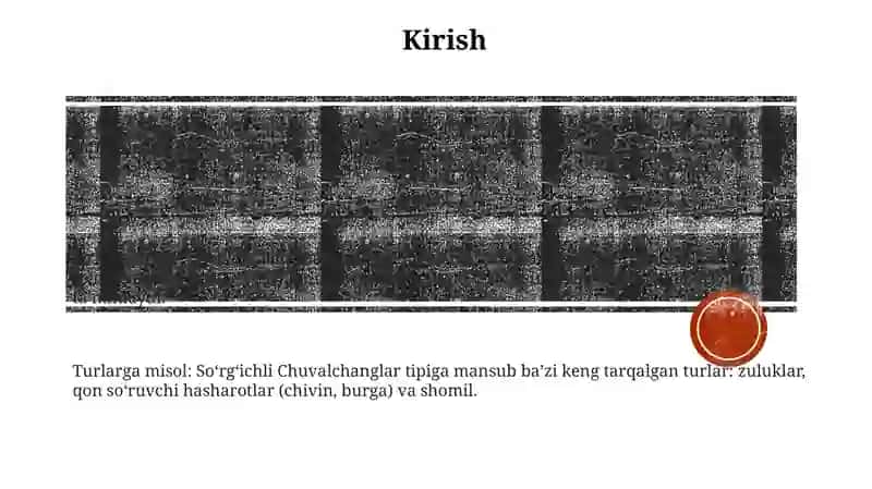 SoʻRgʻIchli Chuvalchanglar Tipi 2