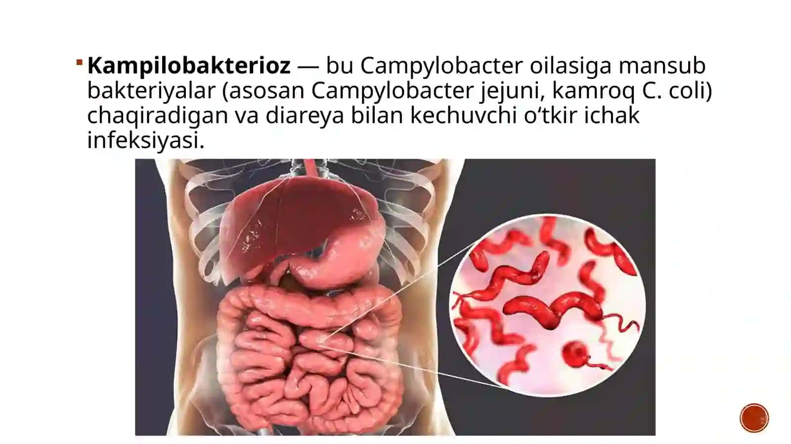 Kompilobakterioz 2