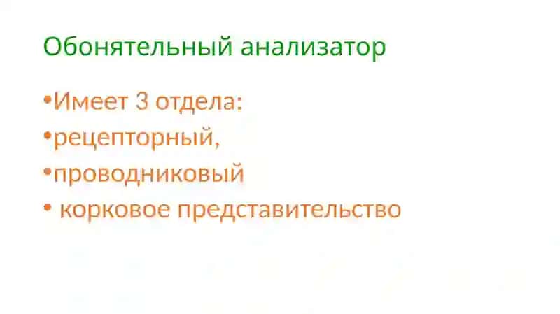 Обонятельный анализатор 2