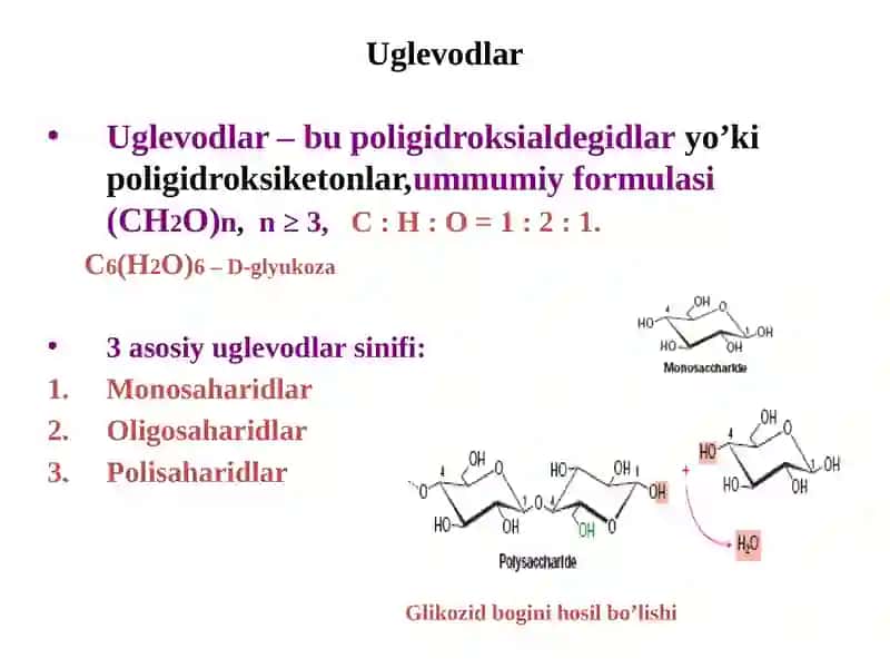 Uglevodlar, karbonsuvlar hazmlanishi 2