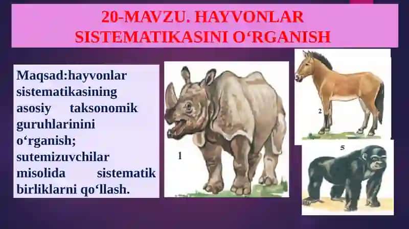 Hayvonlar Sistematikasini O‘rganish 2