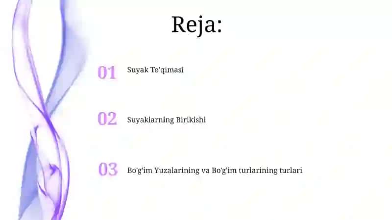 Suyak To'qimasi 2