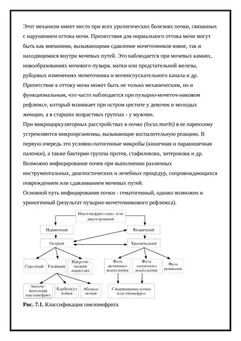 Пиелонефрит - самая частая болезнь 2