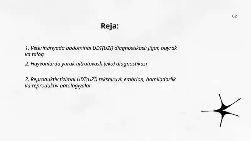 Veterinariyada UDT(uzi) diagnostikasi 2