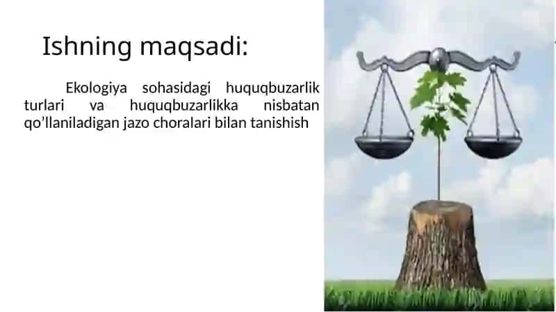 Ekologik huquq 2