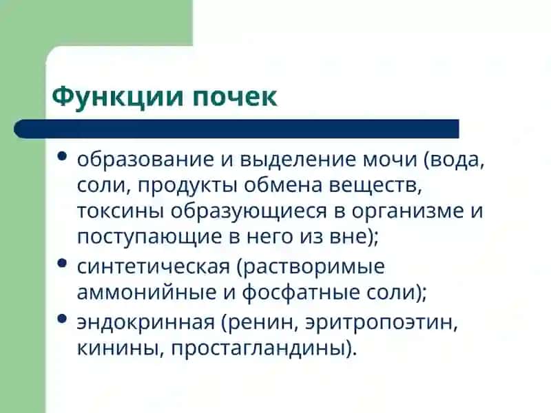 Патофизиология почек 2
