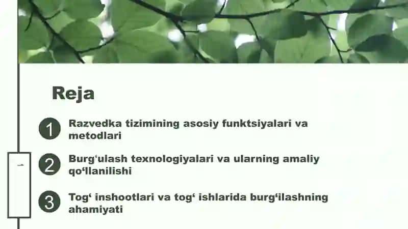Razvedka tizimi 2