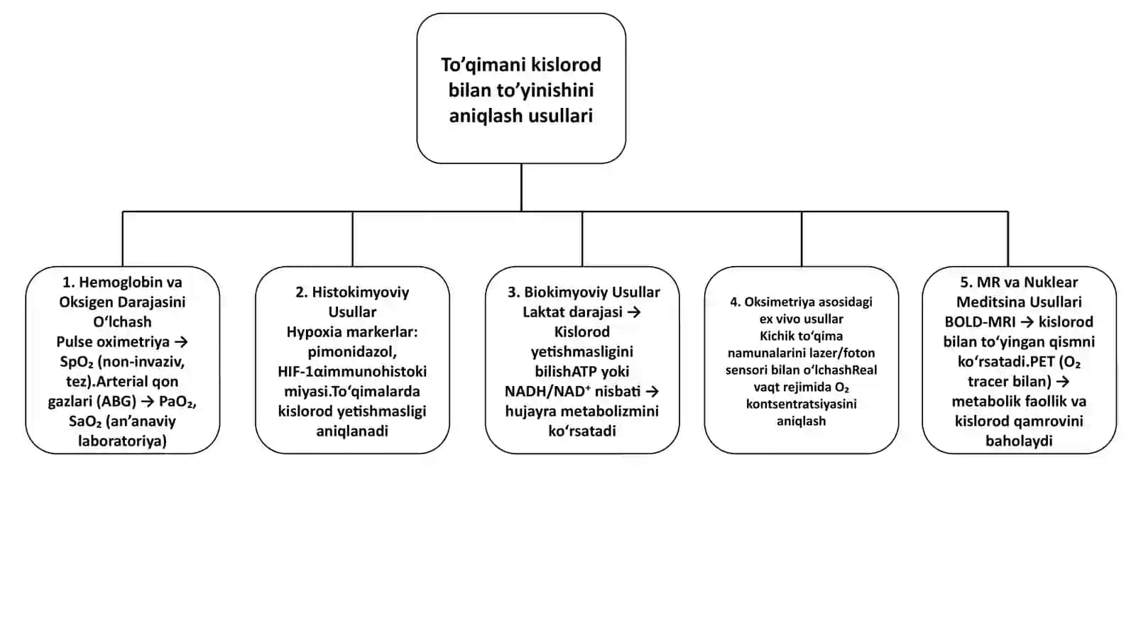 fizologiya glossariy 2