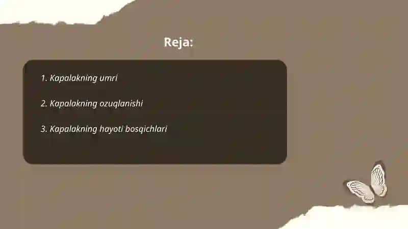 Kapalak hikoyasi 2