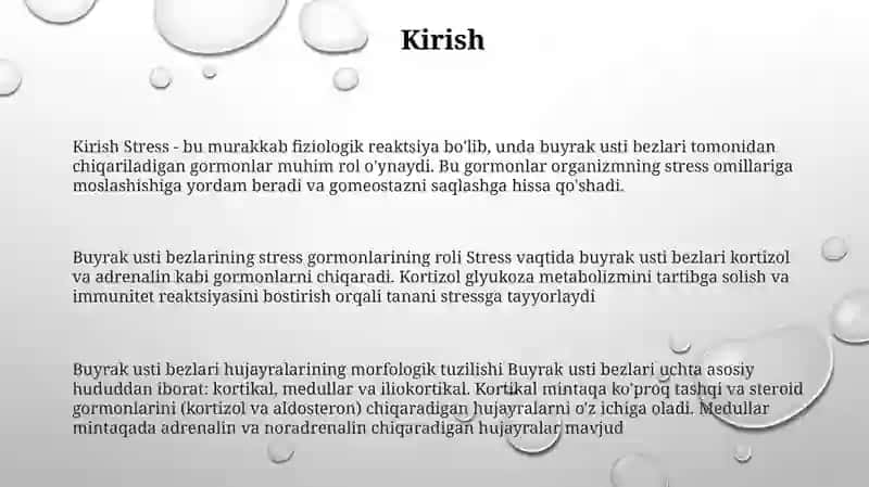 Buyrak usti bezlarining stress gormonlarining roli 2