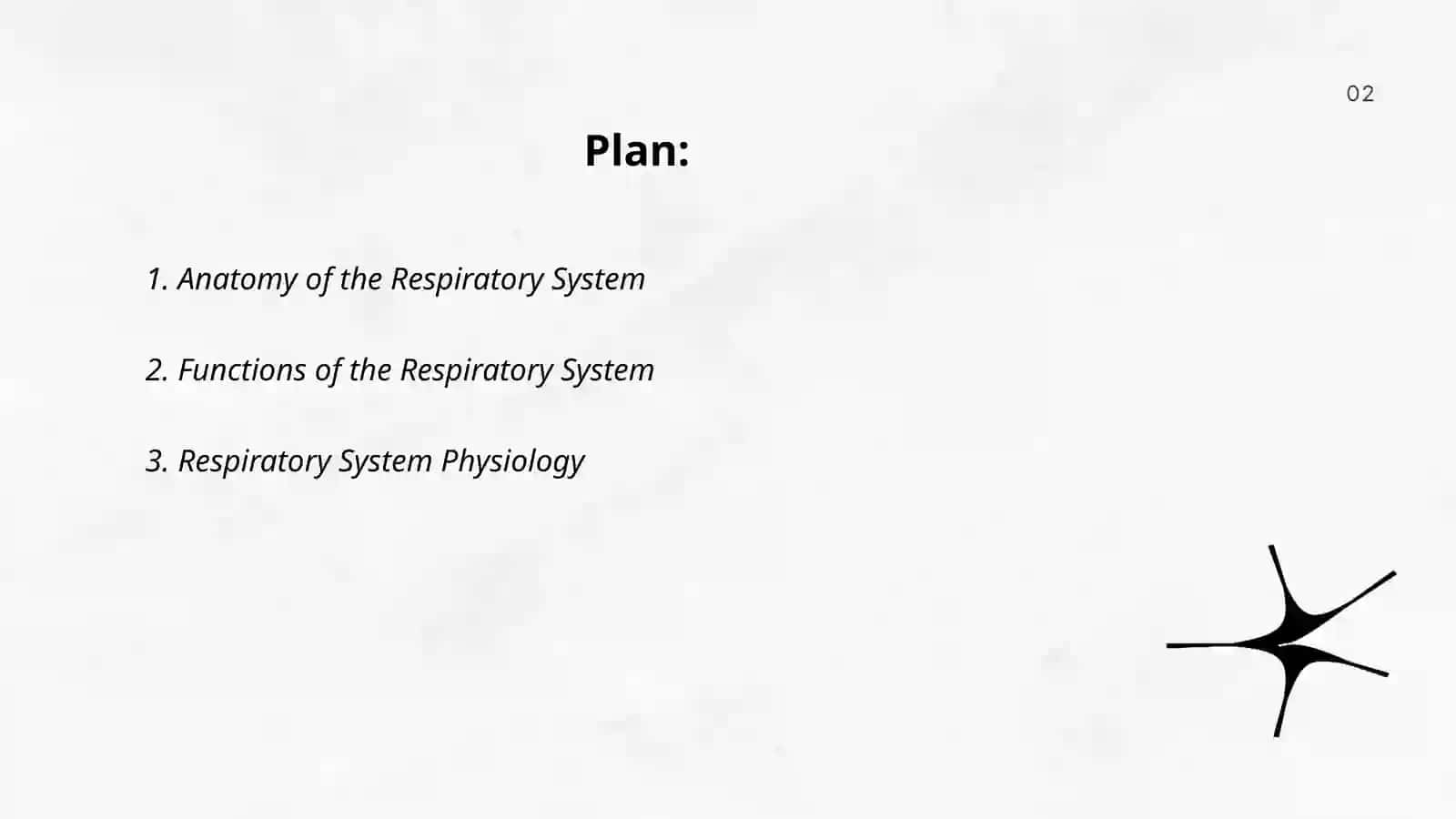 Respiratory system 2