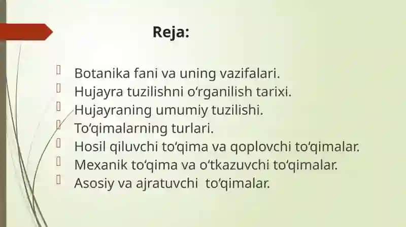 O‘simlik hujayratuzilishi 2