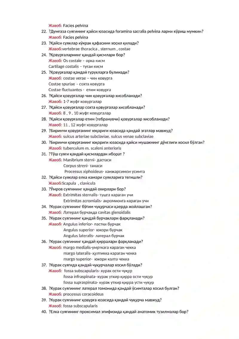 Умуртқа поғонаси 2
