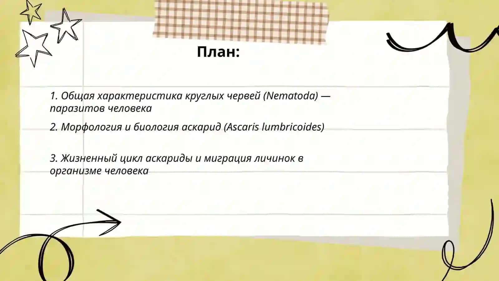 Круглые черви - паразиты человека. Аскариды. трихинеллы и анкилостомы 2