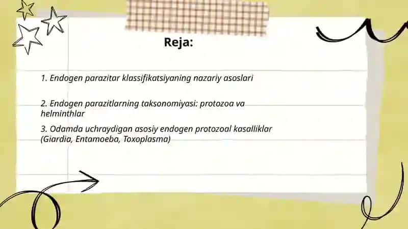 Endogen paraziar klassifikasivasi 2