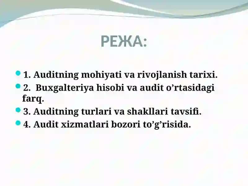 AUDITGA UMUMIY TAVSIF 2