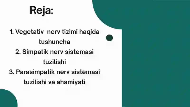 Vegetativ nerv sistemasi 2