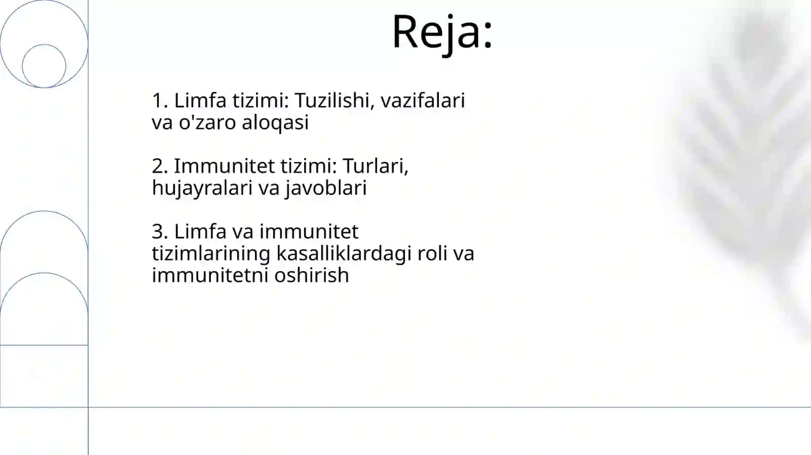 Limfa tizimi va Immun tizimi 2
