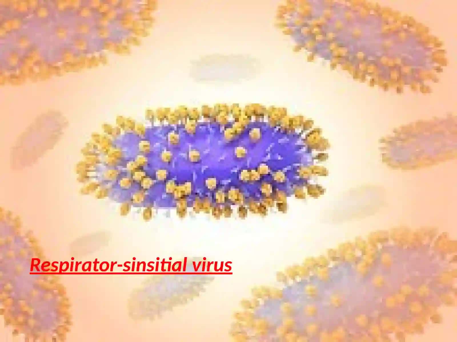 Respirator-sinsitial virus 2