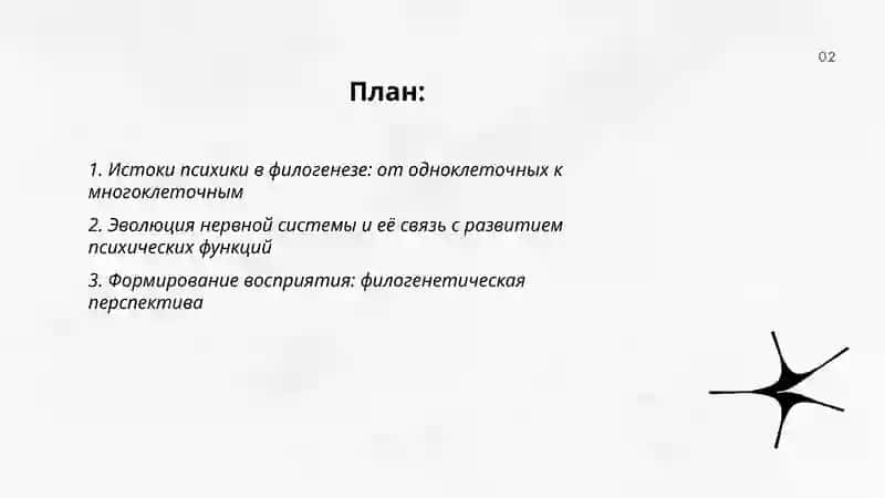 Филогенетическое развитие психики 2