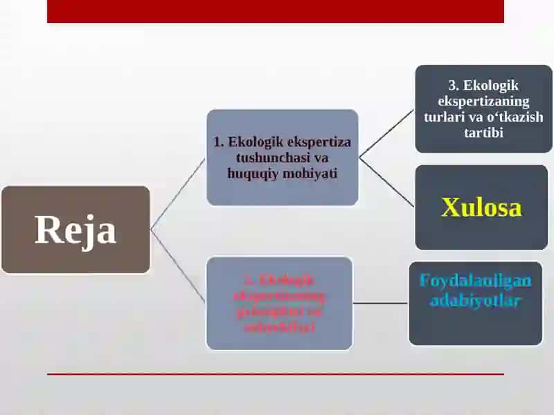 Ekologik ekspertiza 2