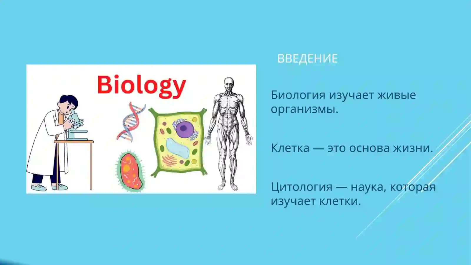 Роль биологии в изучении клетки 2