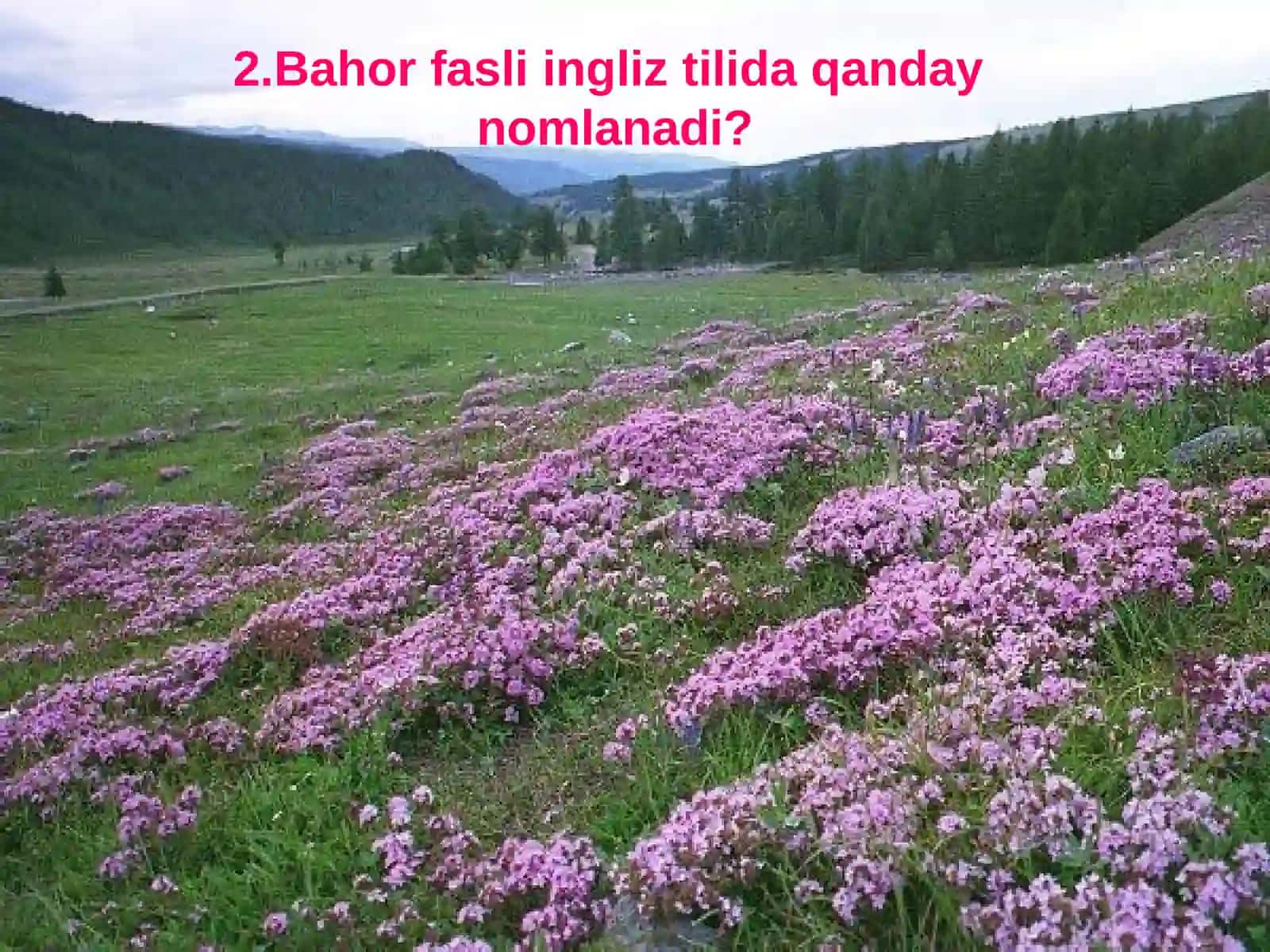 Keksalarni e’zozlash yili 2