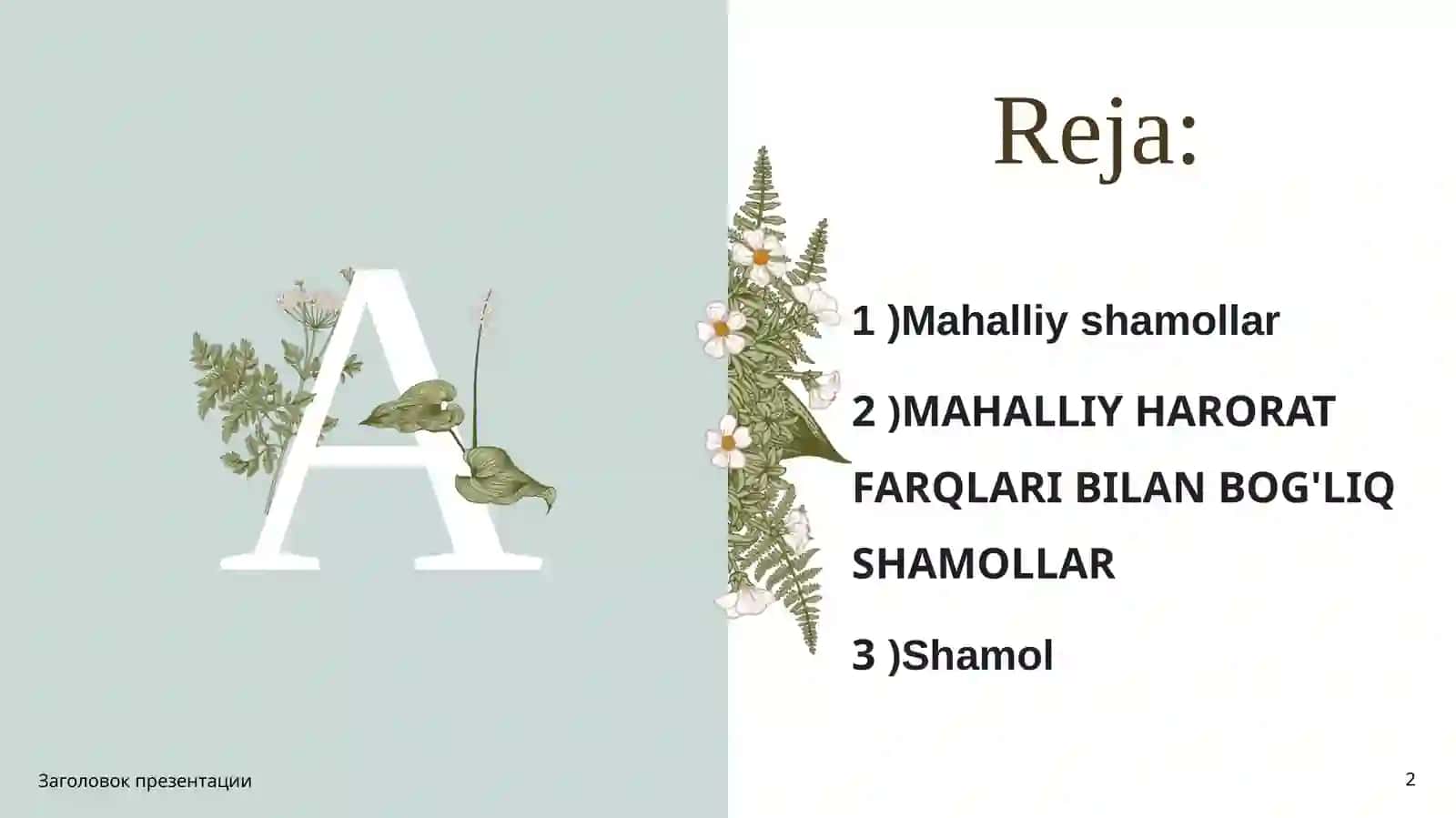 Shamollar, uning turlari, mahalliy va sayyoraviy shamollar 2