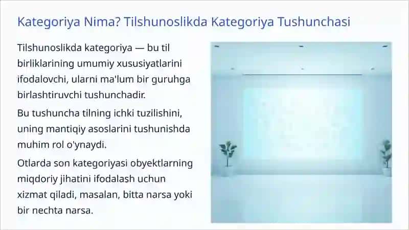 Ot Turkumining Son Kategoriyasi va Nokategorial Shakllari 2