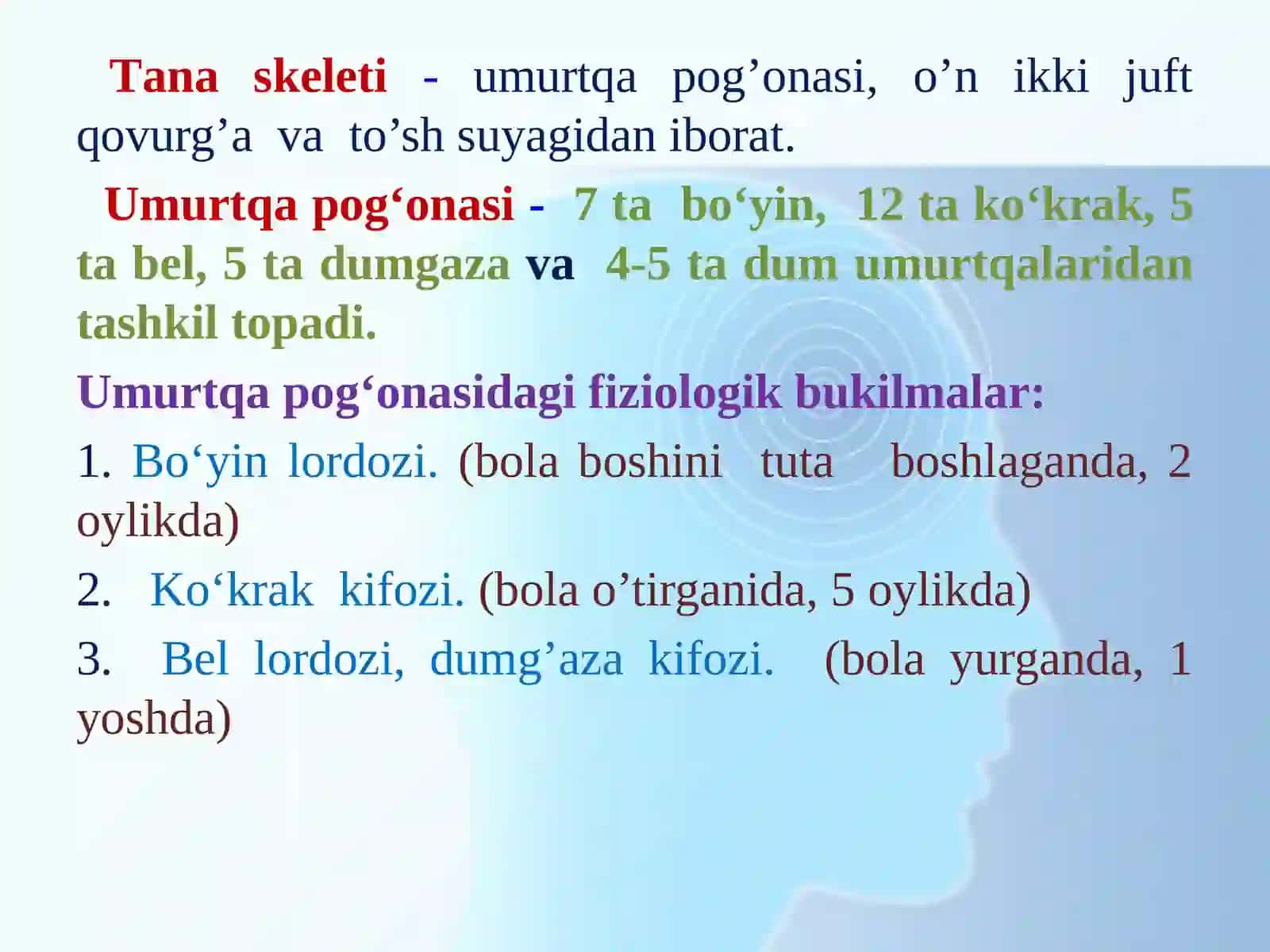 Osteologiya. Tana skeleti. Ko’krak qafasini hosil qiluvchi suyaklar 2