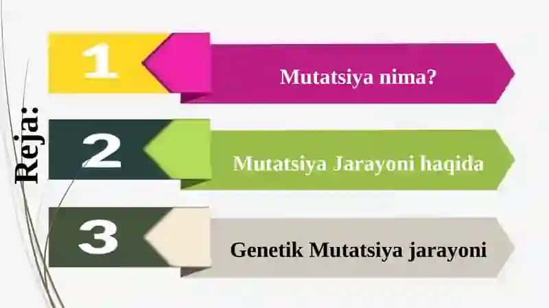 Mutatsiya jarayoni 2