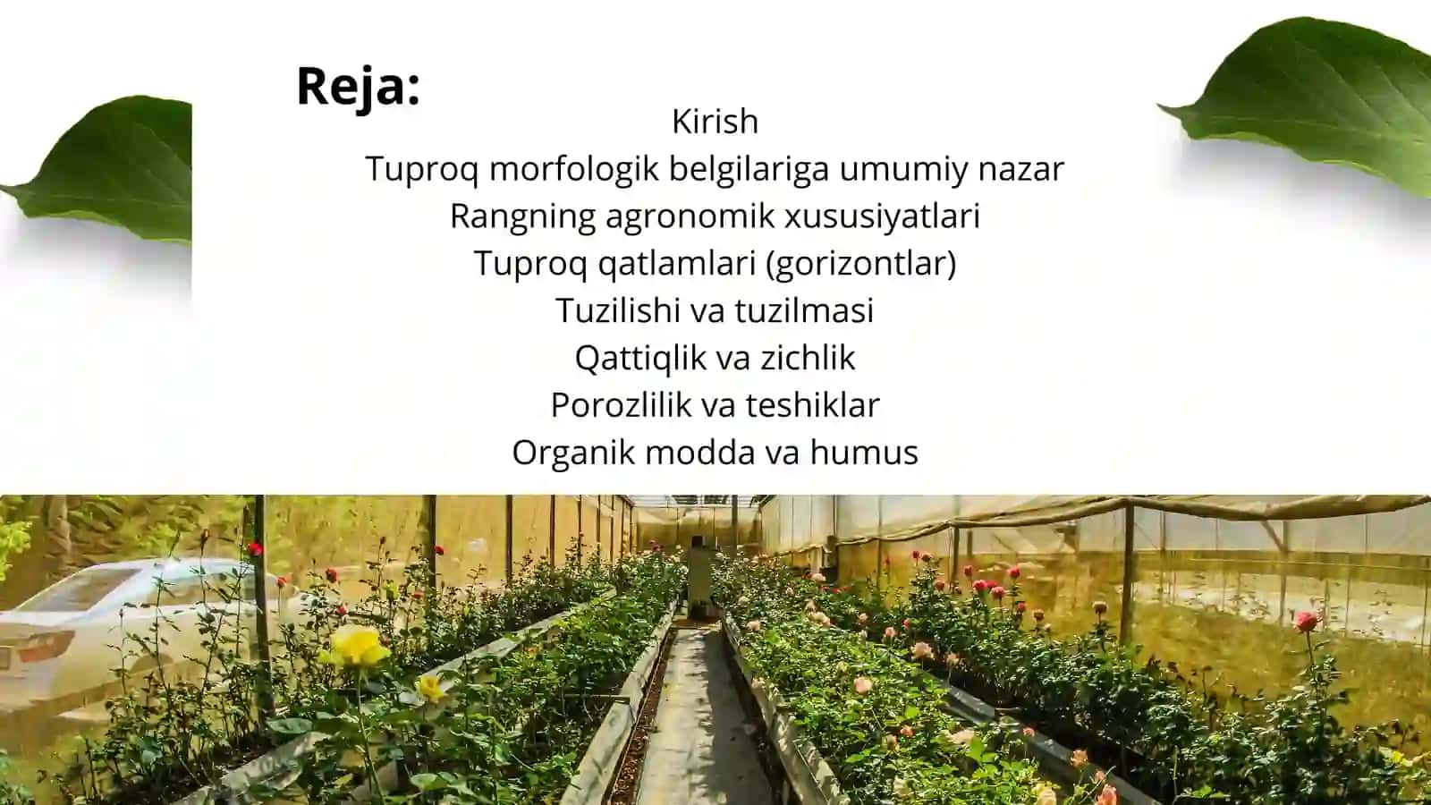 Tuproq morfologik belgilarining agronomik xususiyatlari 2