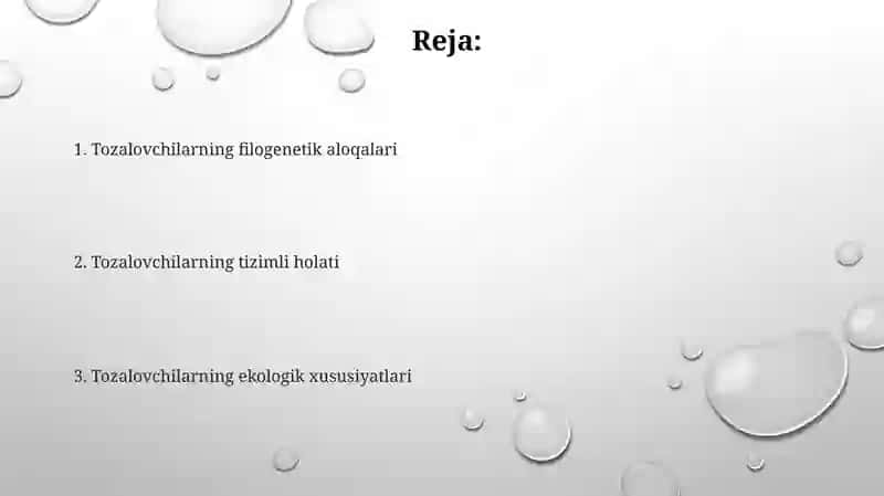 Sutemizuvchilarning sistematikasi 2