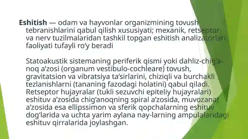 Eshitish organi innervatsiyasining hususiyatlari 2