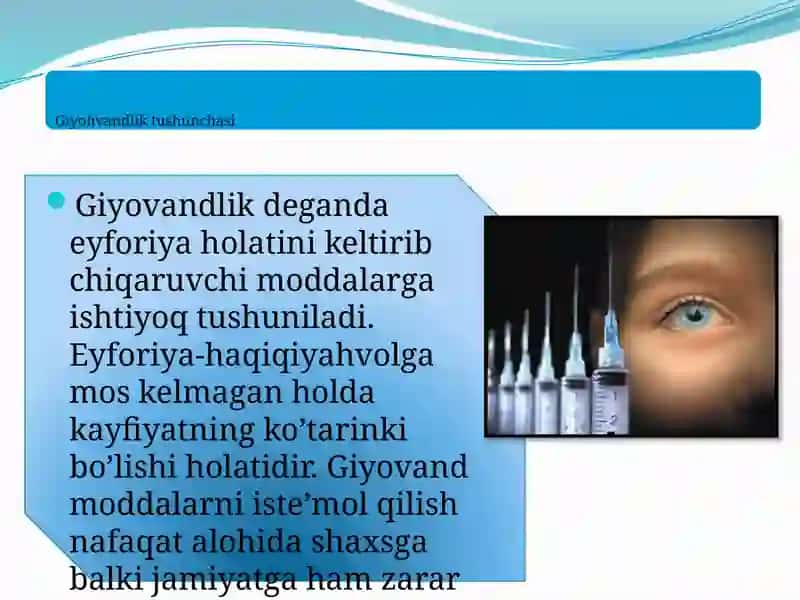 Giyohvandlik tushunchasi 2