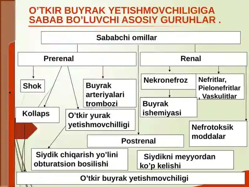 Buyrak kasalliklari dagi asosiy klinik sindromlar 2