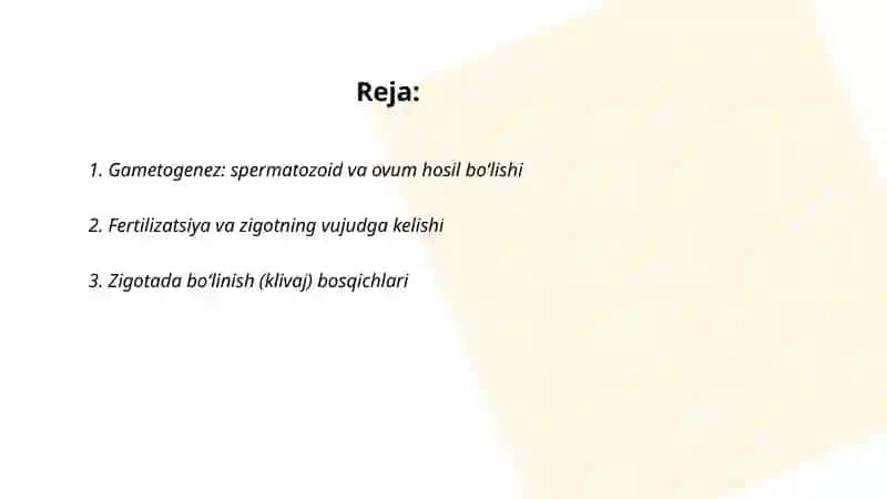 Hujayra ontogenezining rivojlanish bosqichlari 2