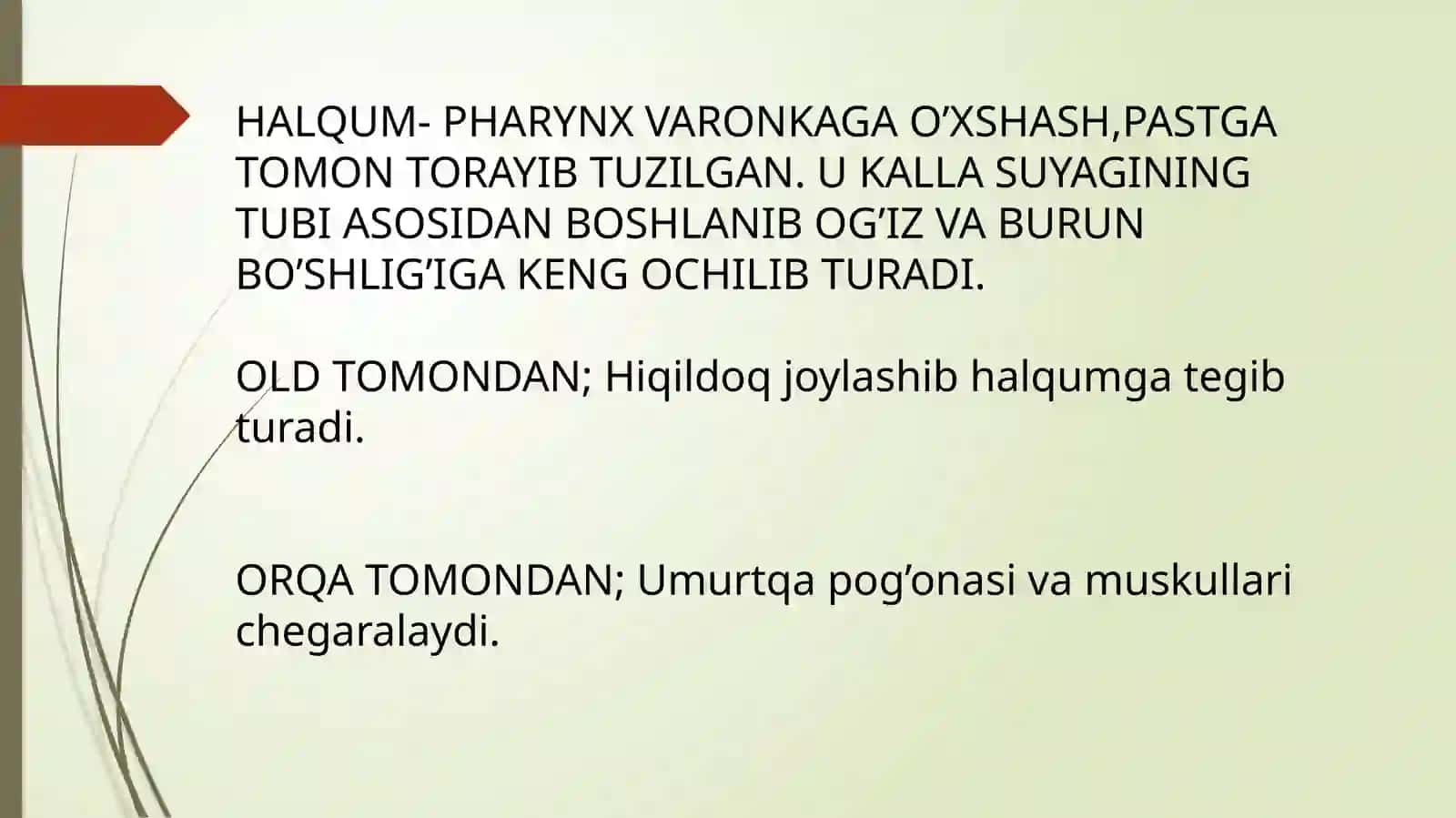 HALQUM TUZILISHI 2