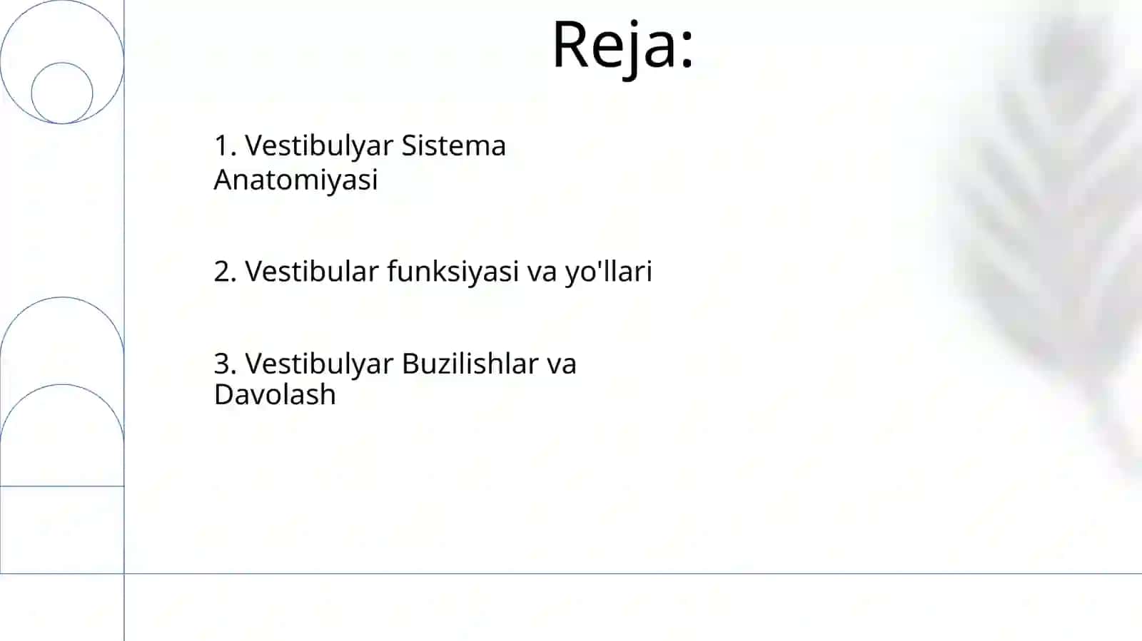 Vestibulyar analizator 2