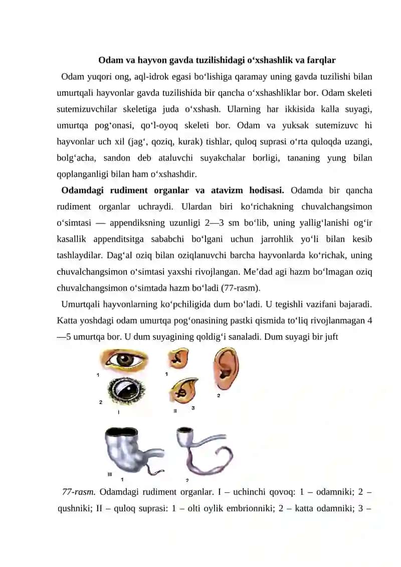Odam Evalyutsiyasi 2