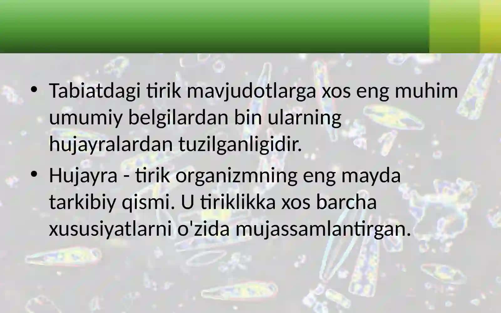 O'SIMLIKHUJAYRASINING TUZILISHI 2