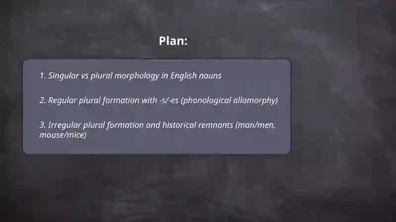Typological category of number of nouns 2